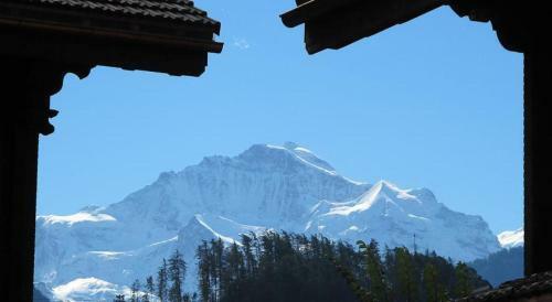 Apartamento Residence Jungfrau