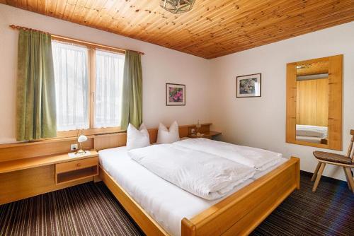 Apartamentos Patschei Trid