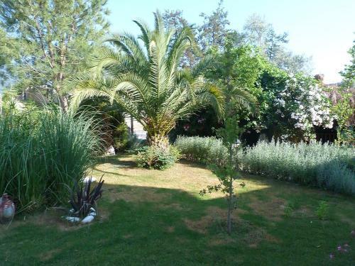 Telmessos Select Hotel - Adult Only (+16) - All Inclusive