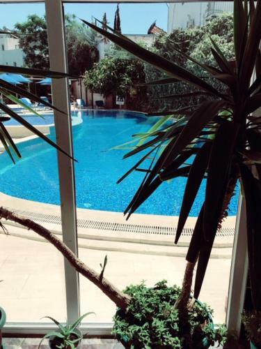 Bodrum Blu Hotel