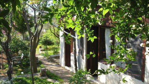 Hostal Ayvalik Dostlar Pansiyon