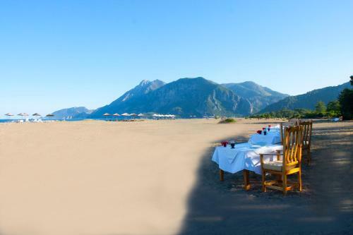 Hotel Etenna Beach Bungalows