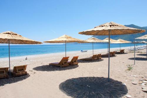 Hotel Etenna Beach Bungalows