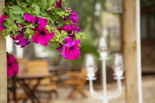 Orhaniye Incir Bungalow, Beach & Restaurant