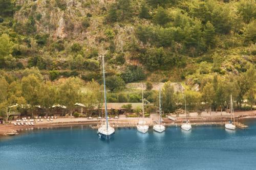 Orhaniye Incir Bungalow, Beach & Restaurant