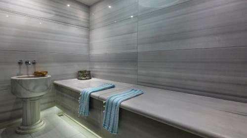 Hotel Hilton Istanbul Maslak