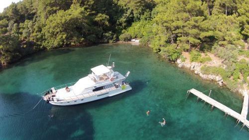 Lagoon-boat