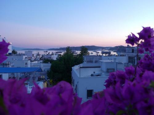 Hotel Eskici Hostel Bodrum