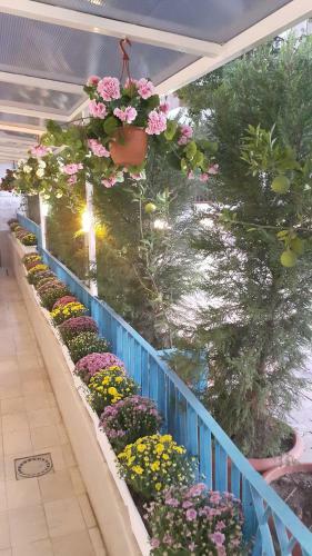 Adana City Boutique Hotel