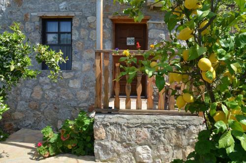 Faralya Limon Hotel