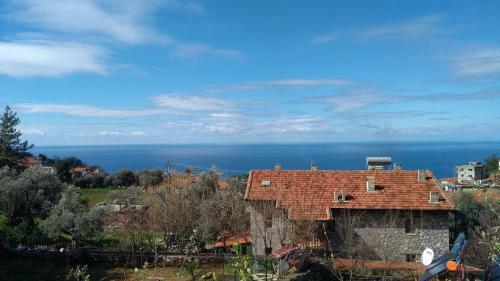 Faralya Limon Hotel