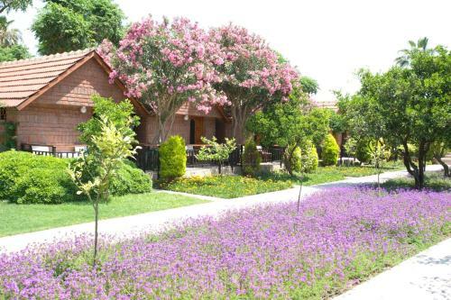 Hotel Can Garden Beach