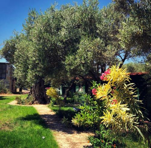 Lodge My Bungalov