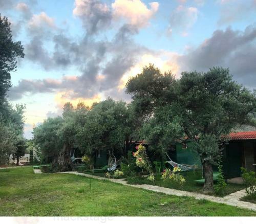 Lodge My Bungalov