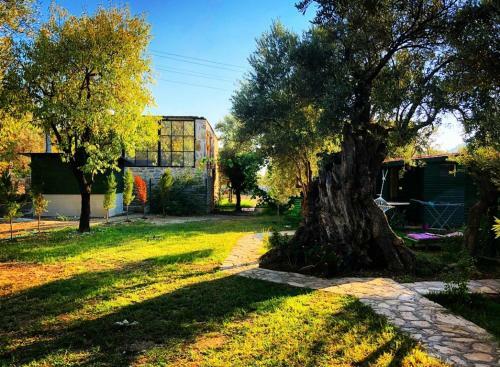 Lodge My Bungalov