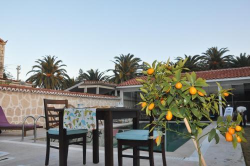 Bed & Breakfast Alapietra Hotel