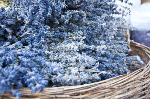 Bed & Breakfast Alapietra Hotel
