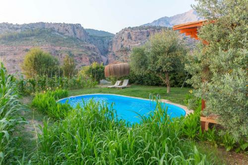 Pure Life Organic Villa