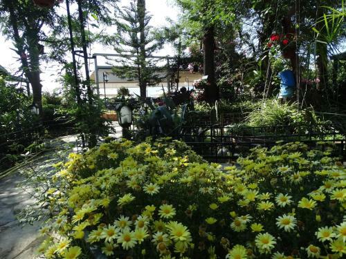 Hotel Beachwood Villas