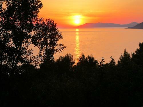 Bed & Breakfast Faralya Botanica