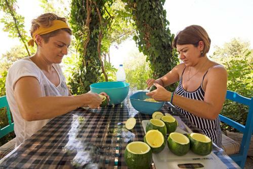 Bed & Breakfast Faralya Botanica