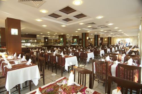 Hotel Trendy Palm Beach
