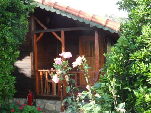 Hostal Ugur Pansiyon Bungalows