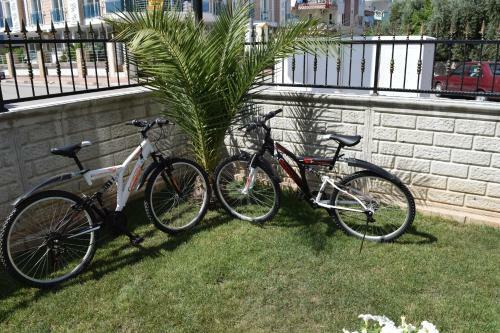 Apartamento G�den-pearl