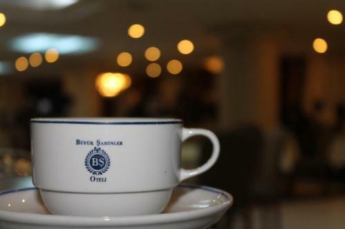 Hotel Buyuk Sahinler