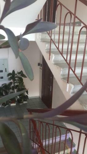 Apartment Ekaterina