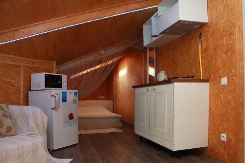 Mansard Apartment