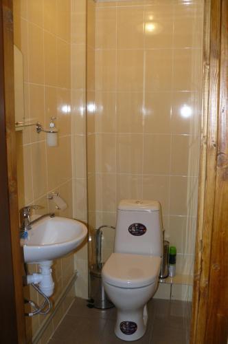Hostal Gostynets