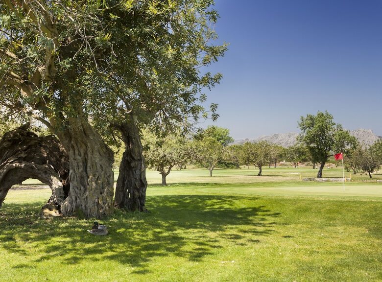 Hotel Denia Marriott La Sella Golf Resort & Spa