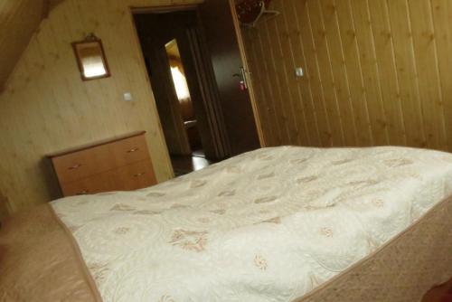 Hostal Bilyy Kamin Guest House