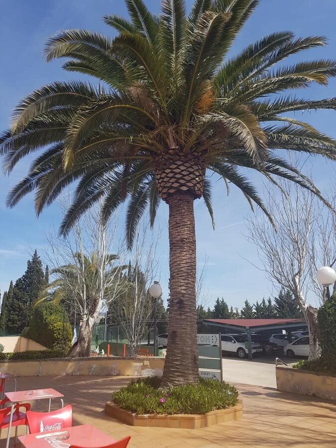 Hotel Las Ventas