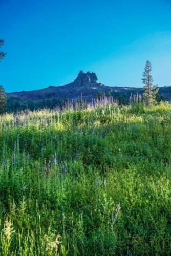 Sun Meadows 1 - 102