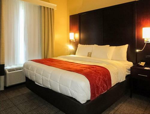 Hotel Comfort Suites-youngstown North