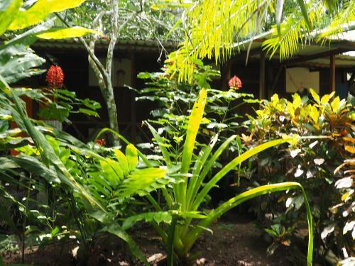 Bed & Breakfast Cabinas Punta Uva