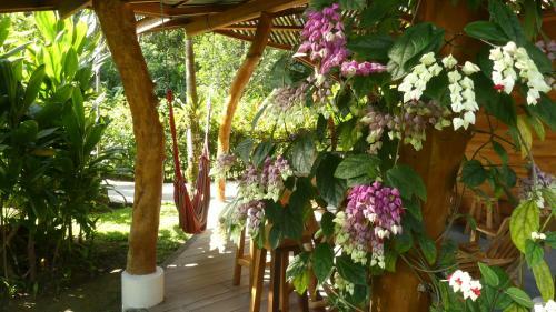 Passion Fruit Lodge