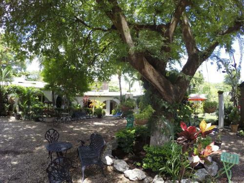 Apartamento Cabinas Zullymar