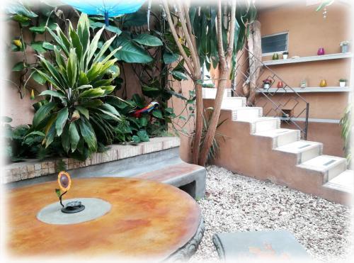 Hostal Gaudy S Hostel