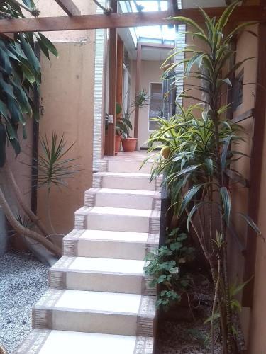 Hostal Gaudy S Hostel