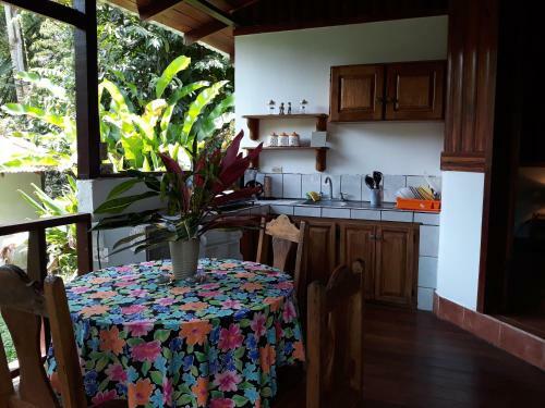Posada Cabinas Nirvana Ecolodge