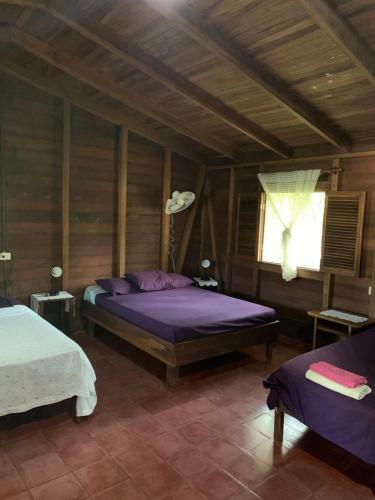 Posada Cabinas Nirvana Ecolodge