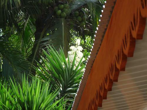 Hotel Cabinas Yucca