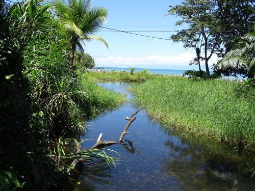 Bed & Breakfast Osa Tucan