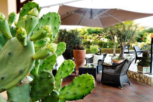 Hotel Favignana