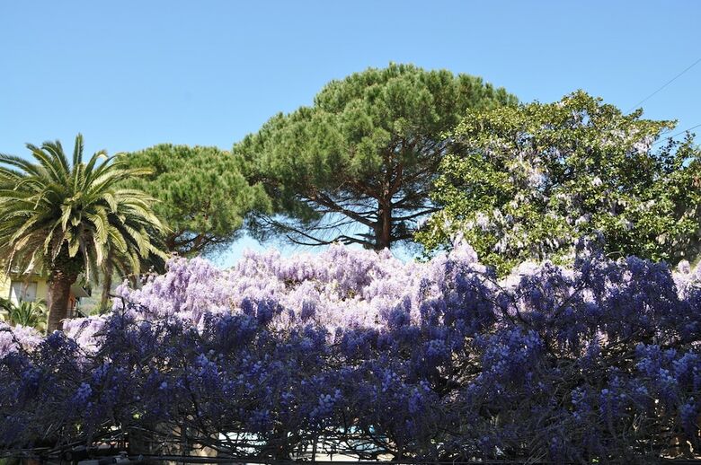 Residence Hotel Moneglia