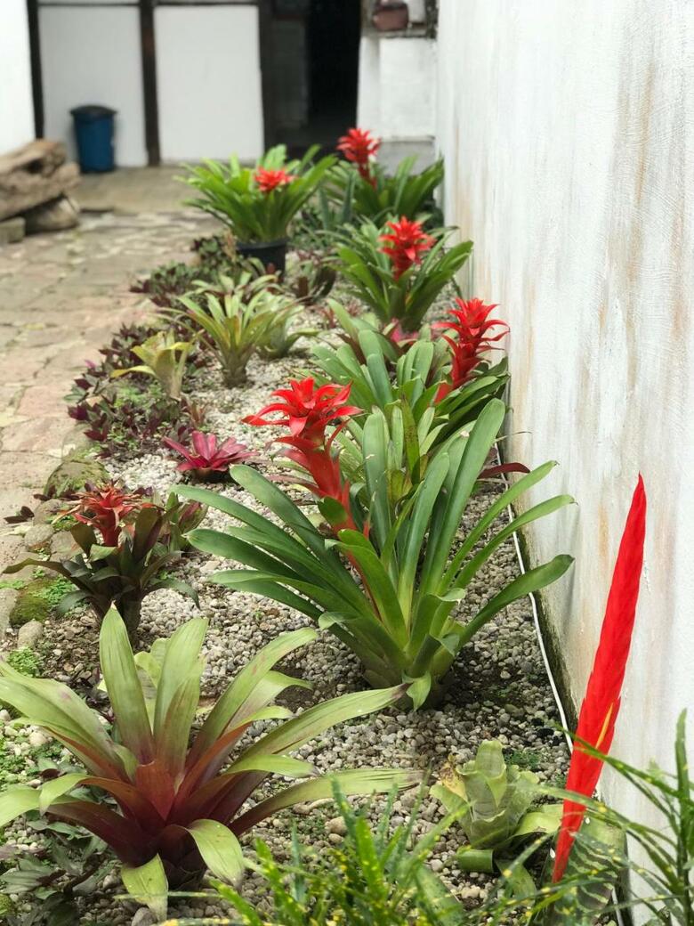 Casa No Centro Hist�rico De Paraty
