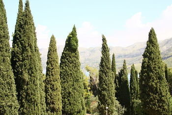 Hotel Villa Anka